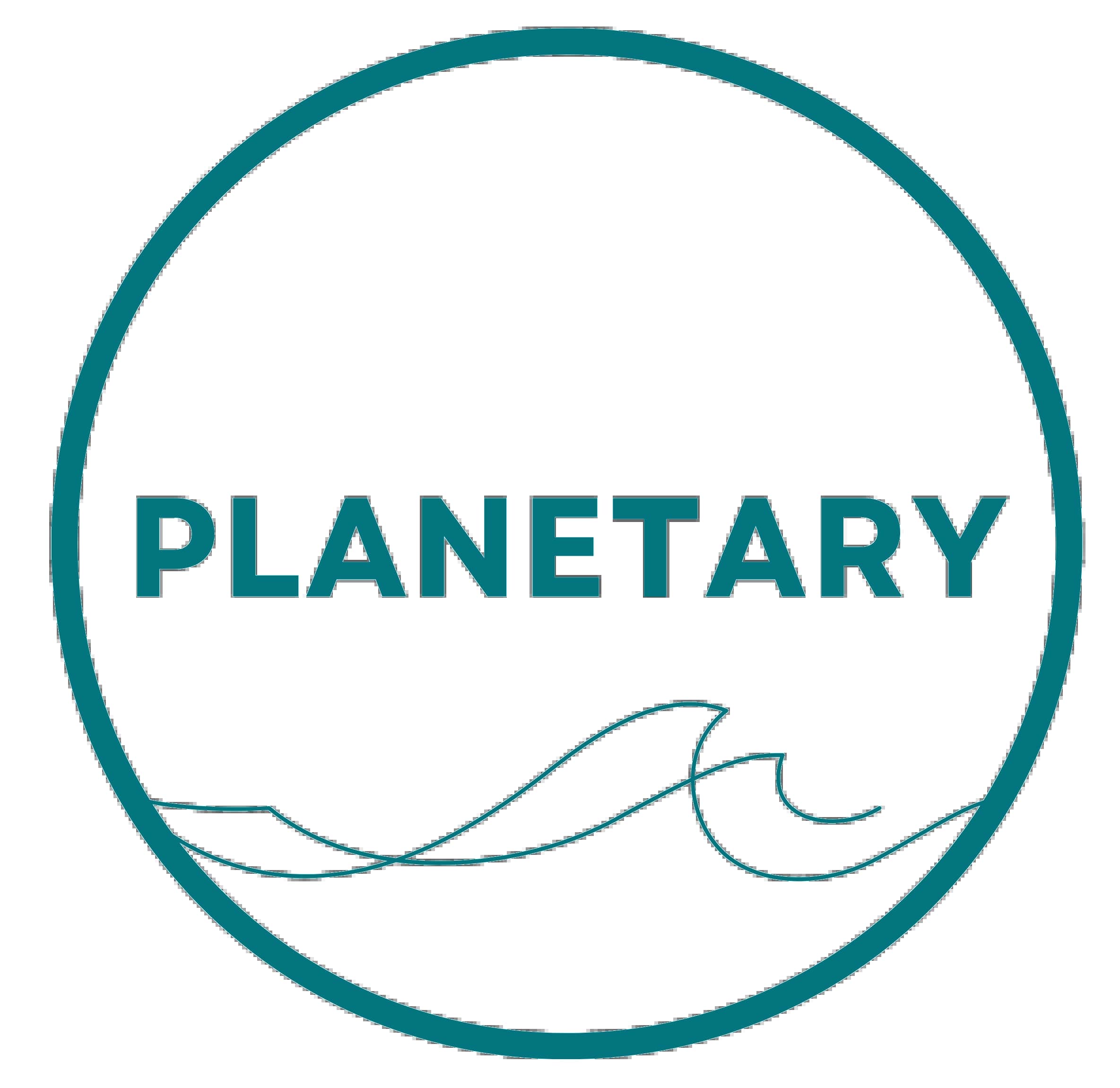 Planetary Logo